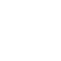 Professional Experience